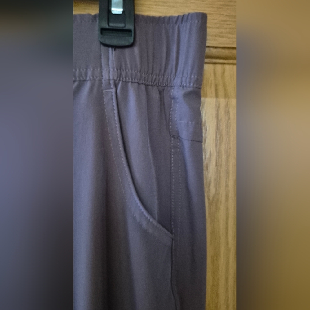 Eddie Bauer Women's M Purple Traveler Ankle Pants EUC 1669563 - Picture 2 of 9